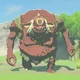 Hinox Botw