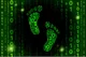 Digital Footprint