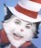 Cat in the hat