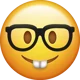 Nerd 