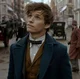 Newt scamander