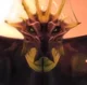 Umbrasyl