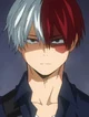 Shoto Todoroki 