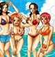 One piece harem