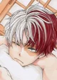 Shoto Todoroki 