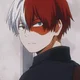 Shoto Todoroki