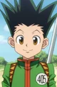 Gon Freecss