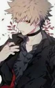 Vellian bakugo