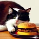 Hamburger cat