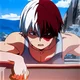 Shoto Todoroki