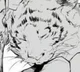 Atsushi Tiger Form