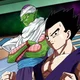 Piccolo and Gohan