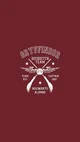 Gryffindor team