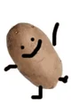 Potato 