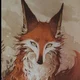 The Fox