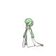 Gardevoir