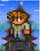Terreria helper