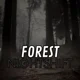 Forest Nightshift