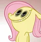 Fluttershy