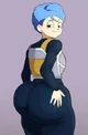 Bulma -Vegta suit-