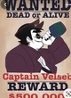 Captain Bob Velseb 