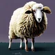 literally a sheep