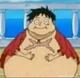 Fat luffy