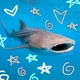 Whale shark fren