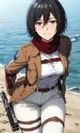 Mikasa