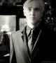 Draco malfoy 