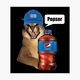 Pepser
