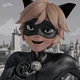 Chat noir 