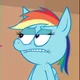 PM - Rainbow Dash