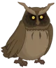 Owl 