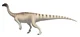 Mussaurus