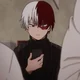 Shoto Todoroki 