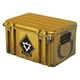 CS-GO case
