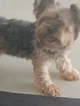 Erik