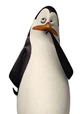Kowalski pingwin