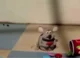 Clay Mouse