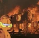 Garfield disaster 