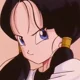 Videl