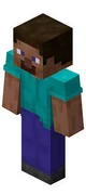 Minecraft lover