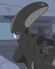 Xenomorph 