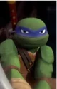 Leonardo TMNT 