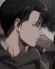 Levi Ackerman