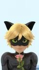 Cat noir 