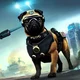 The Pug Raid