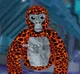 Lava monke