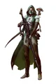 Eldar Ranger